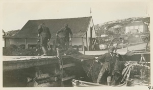 Image: Battle Harbor Dock- Loading on trap net